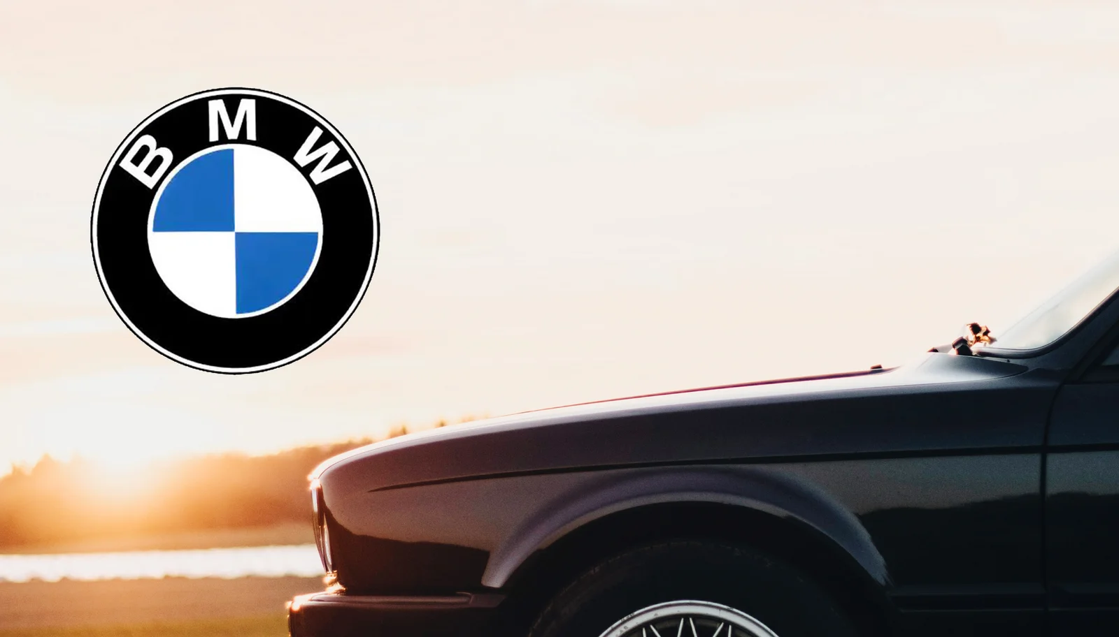 Picture of the BMW homepage from 1986.